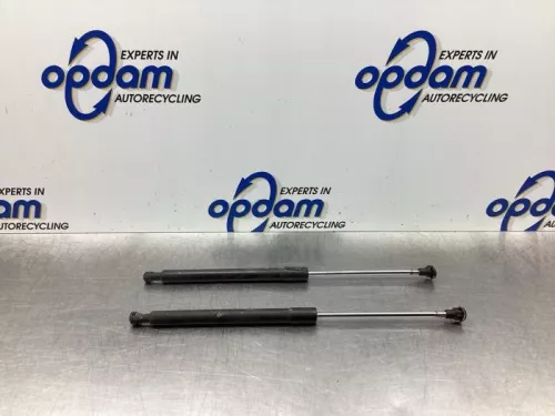 Set Gasdempers Achterklep-7845020