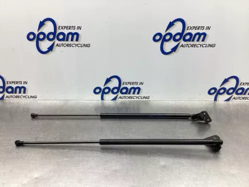 Set Gasdempers Achterklep-7867765