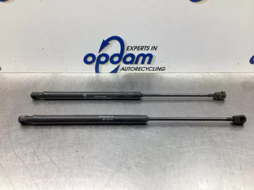 Set Gasdempers Achterklep-7992744