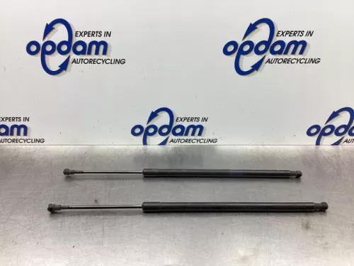 Set Gasdempers Achterklep-6459229