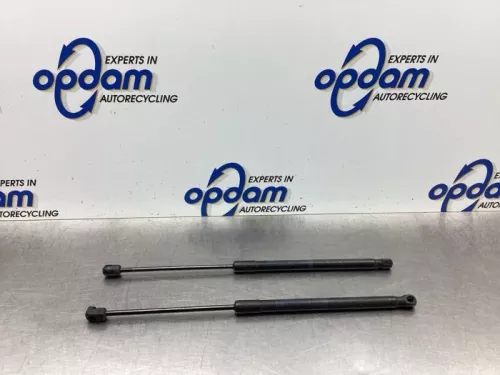 Set Gasdempers Achterklep-7937710