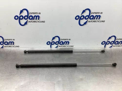 Set Gasdempers Achterklep-7923151