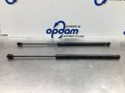 Set Gasdempers Achterklep-7931688