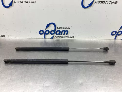 Set Gasdempers Achterklep-8062895