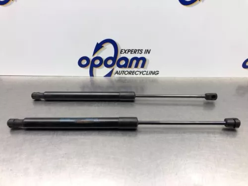 Set Gasdempers Achterklep-8194642