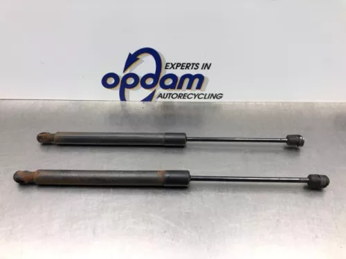 Set Gasdempers Achterklep-8221705