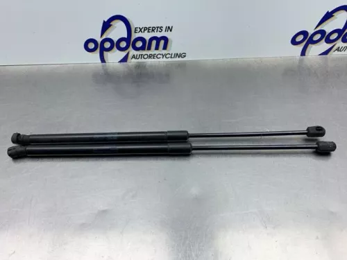 Set Gasdempers Achterklep-8195867