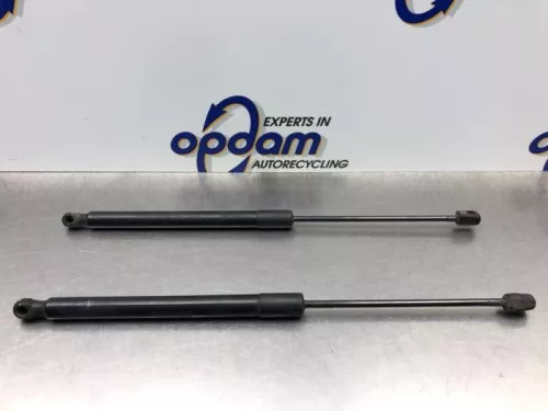 Set Gasdempers Achterklep-8251649