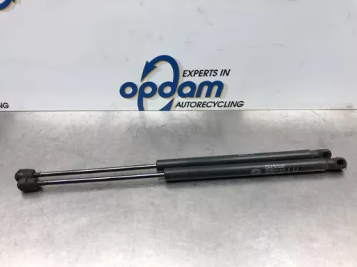 Set Gasdempers Achterklep-7611917