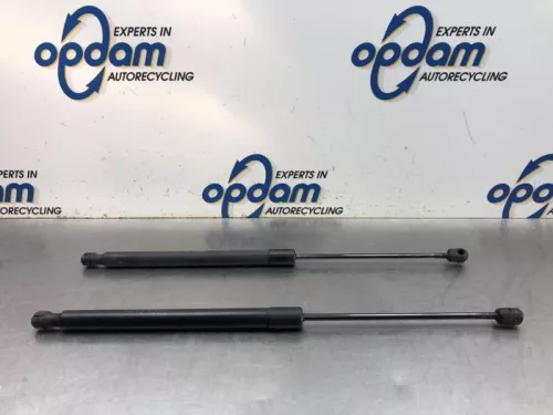 Set Gasdempers Achterklep-8091410