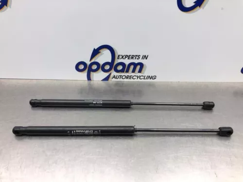 Set Gasdempers Achterklep-8183532