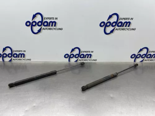 Set Gasdempers Achterklep-8317997