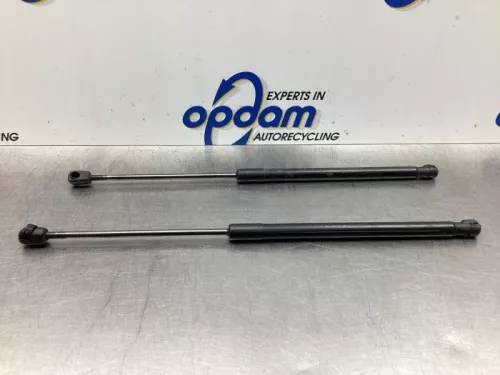 Set Gasdempers Achterklep-7619851