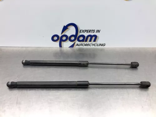 Set Gasdempers Achterklep-8200194