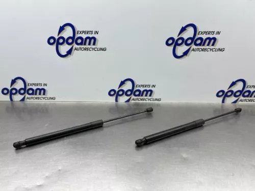 Set Gasdempers Achterklep-8313618