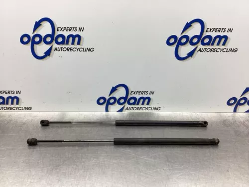 Set Gasdempers Achterklep-7915414