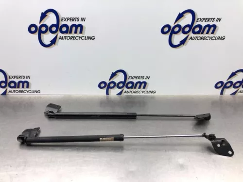 Set Gasdempers Achterklep-8237527