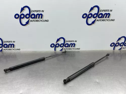 Set Gasdempers Achterklep-8260013