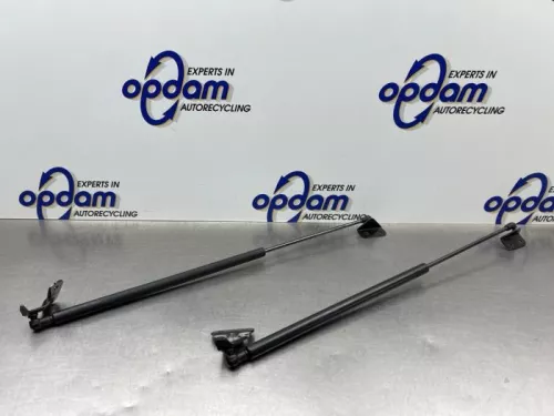 Set Gasdempers Achterklep-8311370