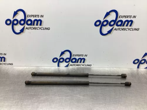 Set Gasdempers Achterklep-7850864