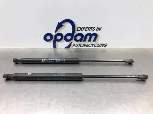 Set Gasdempers Achterklep-8249431