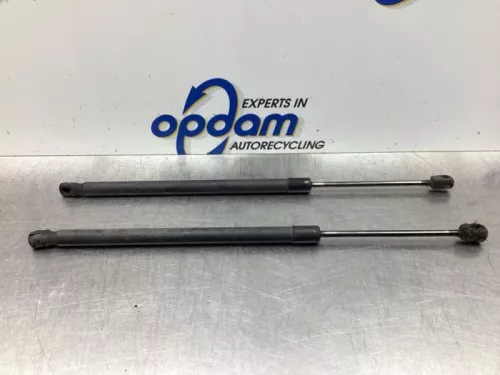 Set Gasdempers Achterklep-7920377