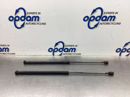 Set Gasdempers Achterklep-8136449