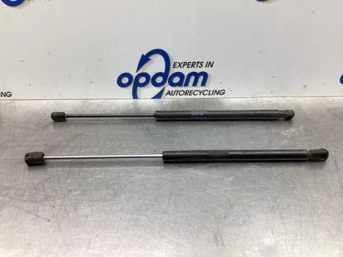 Set Gasdempers Achterklep-7937461