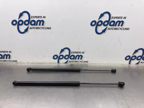 Set Gasdempers Achterklep-8171703
