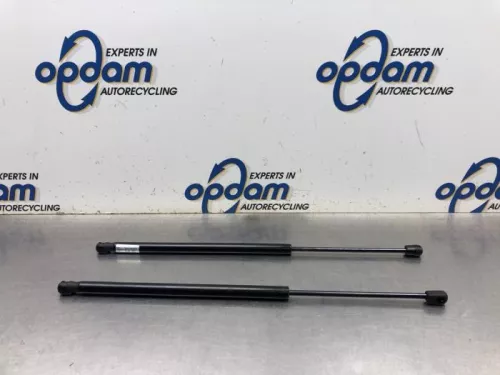 Set Gasdempers Achterklep-8172877