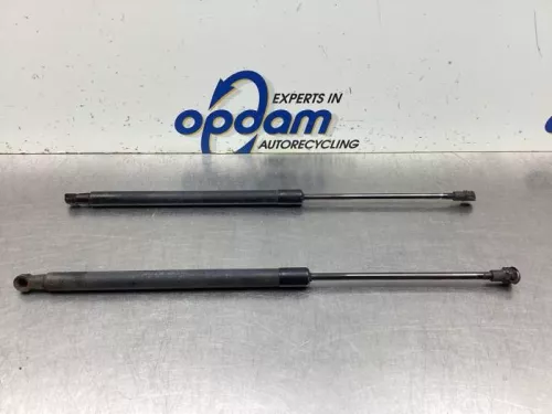 Set Gasdempers Achterklep-8103731