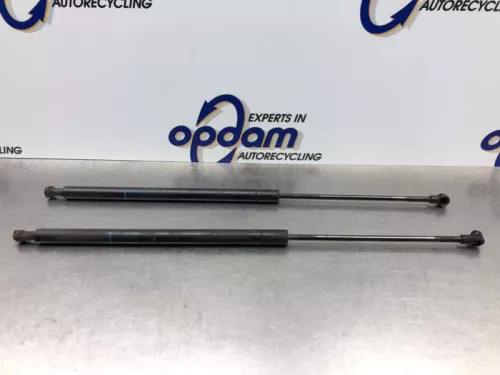 Set Gasdempers Achterklep-8194042