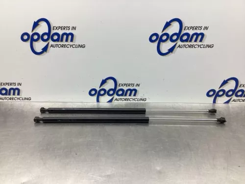 Set Gasdempers Achterklep-7746233