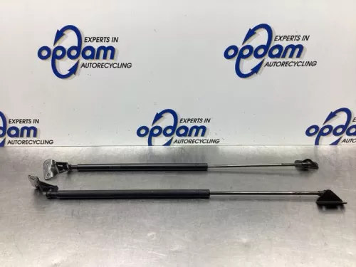 Set Gasdempers Achterklep-7925829