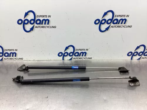 Set Gasdempers Achterklep-8157943