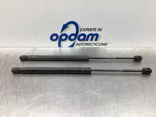 Set Gasdempers Achterklep-7936161