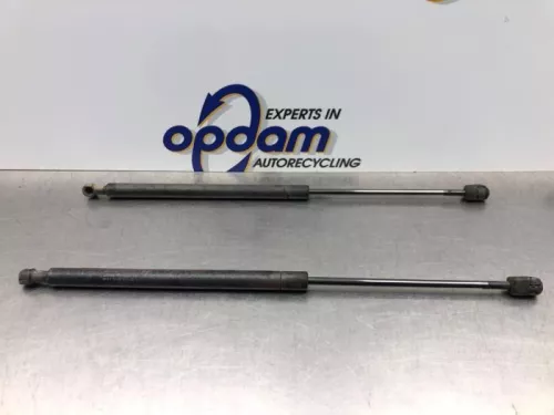 Set Gasdempers Achterklep-8181814