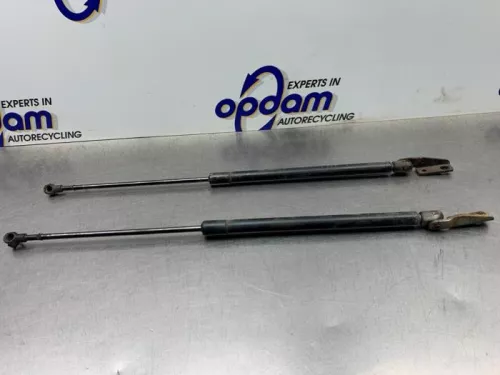 Set Gasdempers Achterklep-8251398