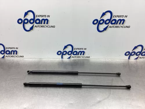 Set Gasdempers Achterklep-8040599