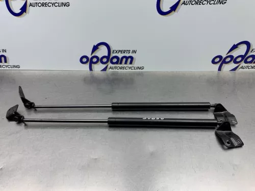 Set Gasdempers Achterklep-8183245