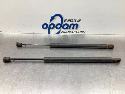 Set Gasdempers Achterklep-8070288