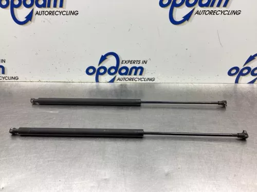 Set Gasdempers Achterklep-8141369