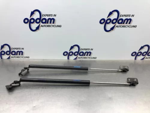 Set Gasdempers Achterklep-8180723