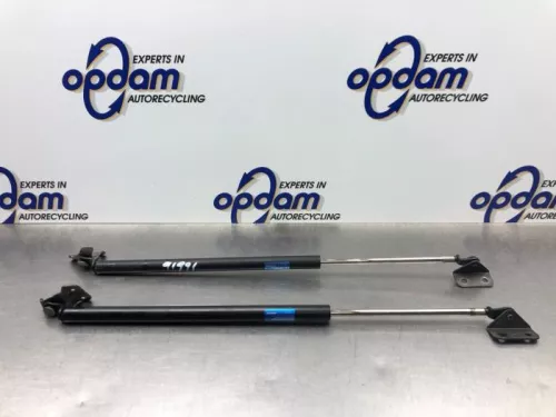 Set Gasdempers Achterklep-8247223