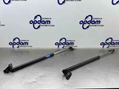 Set Gasdempers Achterklep-8310883