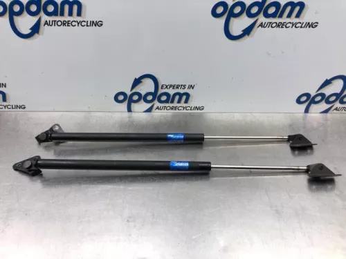 Set Gasdempers Achterklep-7873282