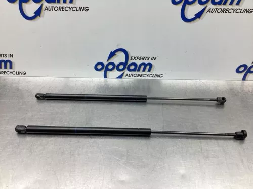 Set Gasdempers Achterklep-7874880