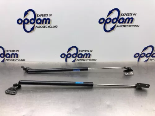 Set Gasdempers Achterklep-8240584