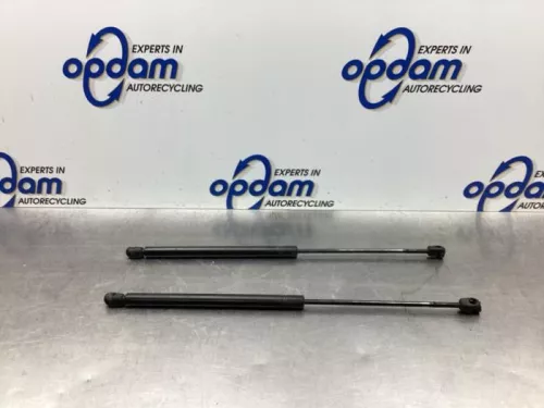 Set Gasdempers Achterklep-8047314