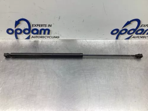 Set Gasdempers Achterklep-8075591